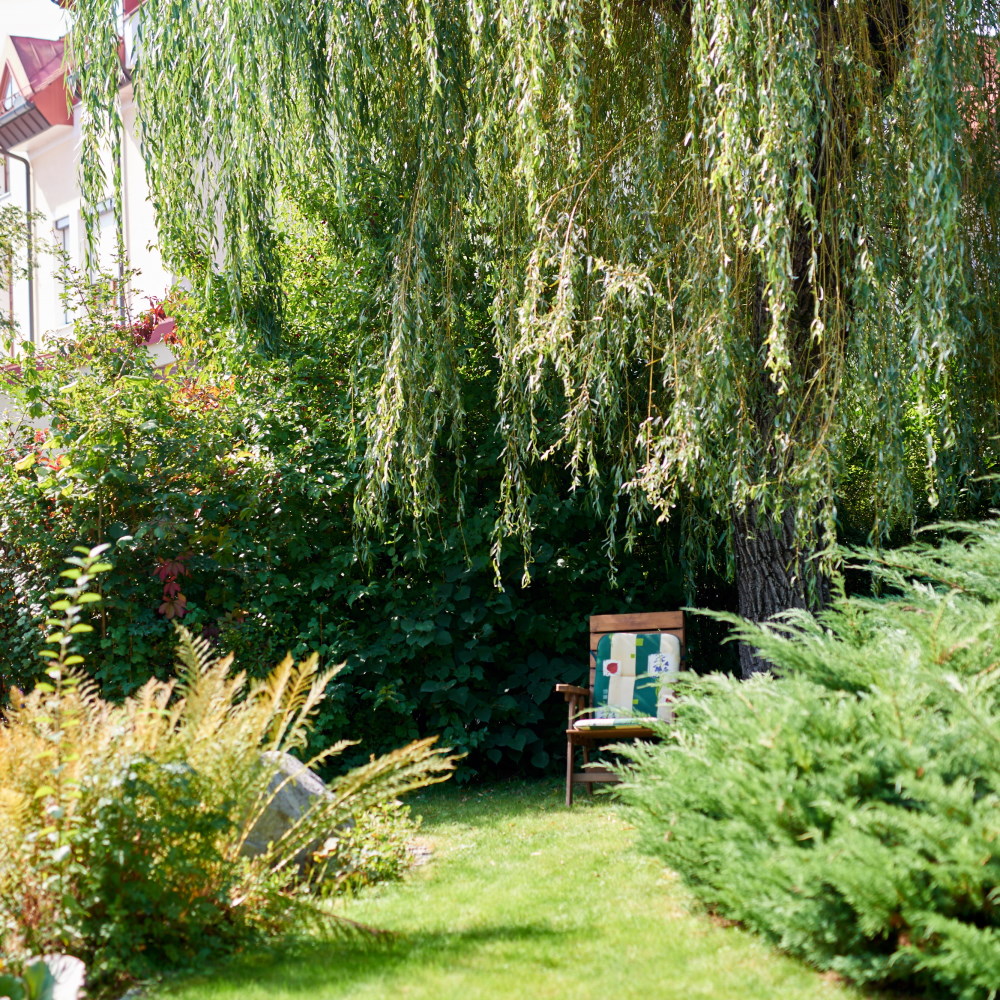 Sitzplatz unter dem alten Weidenbaum.